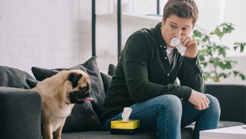 Getting an air purifier is one of the top ways to improve your residence’s indoor air quality. Discover more about the three smartest solutions. 